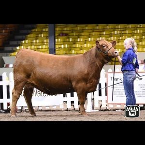 Meet your Posher, Isabel